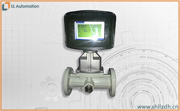 LL旋進(jìn)旋渦氣體流量計(jì)